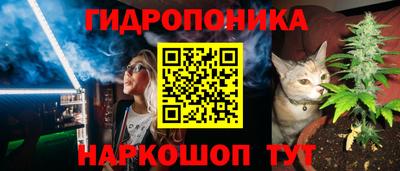 apvp Моздок