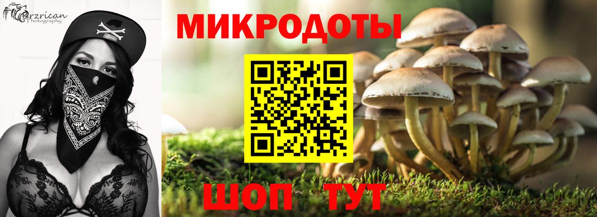 Сызрань  Галлюциногенные грибы Psilocybine cubensis  Вход с VPN 